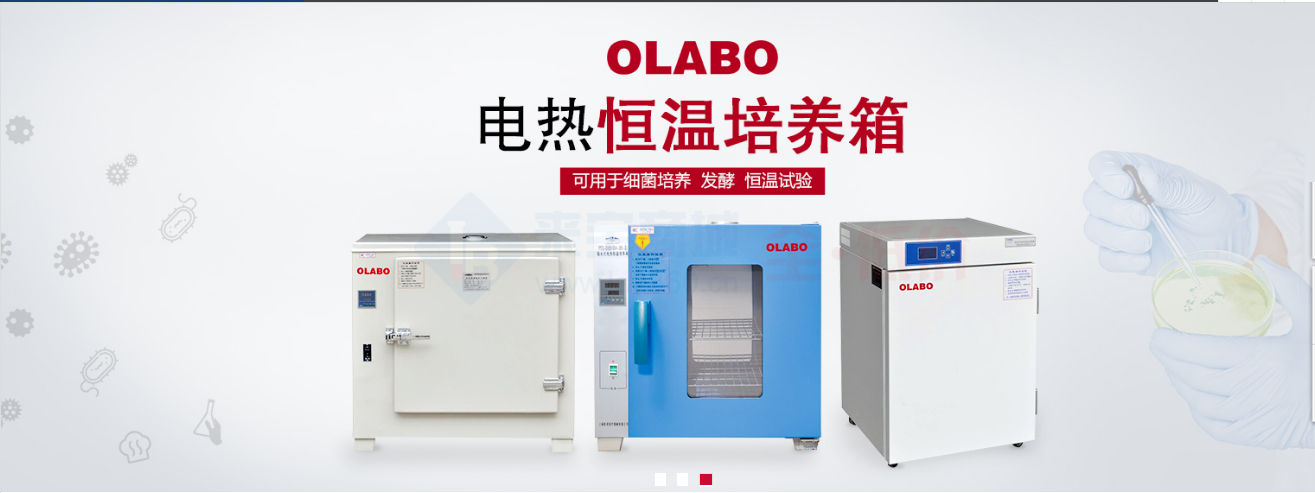 歐萊博電熱恒溫培養箱